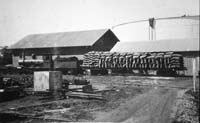 'a_a0333 - August 1931 - Shunting Peanuts Darwin  - it is most likely an NRA flat loaded with peanuts'