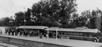 An "DH" car (former NDH railcar) and "BM" car on the Stirling North school train. 