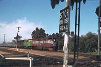 1.9.1985 Peterborough Indian Pacific GM9 (silver) + GM1 (green)