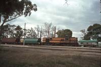 'cd_p0104433 - 26<sup>th</sup> December 1985 - loco 602 Gladstone yard'