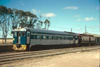 28.12.1985 Bluebird 254 + 824 Monarto south