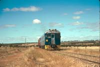 28.12.1985 Bluebird 254 + 824 Cambrai line