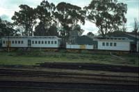 11.6.1986 PWS + PWA4 cars old centenary Naracoorte