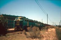1<sup>st</sup> March 1987 Port Adelaide 954