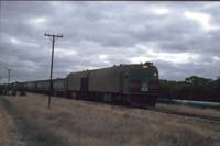 'cd_p0107012 - 7<sup>th</sup> April 1987 - Cummins NJ 6 + NJ hauling wheat train'