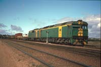 19.8.1987 Spencer Junction locos AL24 + GM24 on Tea and Sugar