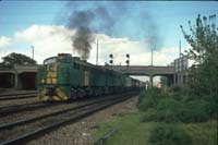 'cd_p0107945 - 19<sup>th</sup> October 1987 - Mile End 959 + 11 other locos on Dry Creek transfer'