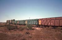 'cd_p0108214 - 29<sup>th</sup> February 1988 - Stirling North 604 + 601 hauling coal train GHA + GHA + GHA 1077 + GPA 2114'