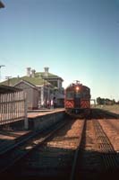 'cd_p0108801 - 10<sup>th</sup> October 1988 - Riverton Red Hen 309'