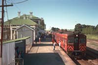 10.10.1988 Riverton Red Hen railcars 309 + unknown + 2501 + 2302 + 2301