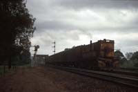 15.10.1988 Torrens Junction 836 + Train Tours 860 cars