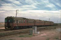 'cd_p0109011 - 24<sup>th</sup> December 1988 - Dry Creek Red Hens 365 + 364 + 372 + 373'