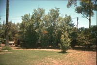 29<sup>th</sup> December 1988 Tailem Bend loco 839