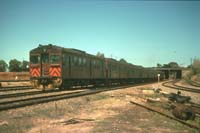 'cd_p0109084 - 1<sup>st</sup> January 1989 - Adelaide Red Hens 432 + 316 + 317 + 310 + 313 + 311 + 309 + 327 + 326'
