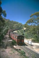 'cd_p0109085 - 1<sup>st</sup> January 1989 - Belair Fosters Corner Red Hens 432 + 316 + 317 + 310 + 313 + 311 + 309 + 327 + 326'