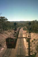 'cd_p0109088 - 1<sup>st</sup> January 1989 - Belair Red Hens 366 + 367 + 322 + 323 + 330 + 331 + 417 + 325 + 324'