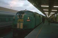 10.1.1989 Keswick GM30 NSWPTC Scout train