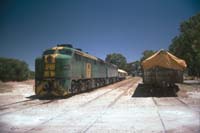 30<sup>th</sup> January 1989 Nuriootpa loco 949 + 950