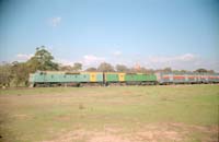 15.5.1989  North Adelaide - GM19 + GM2 - Ghan running through the park lands