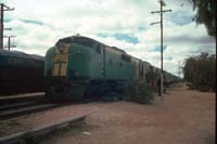 'cd_p0109221 - 22<sup>nd</sup> July 1989 - Cook GM 33 + GM 36 on Indian Pacific'
