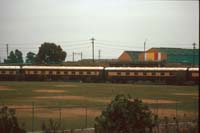31.7.1989 Southern Cross Express Sunshine 600 and 500 class car