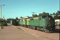 26.12.1989 Port Augusta locos GM35 + GM46 + BL29 and AL19