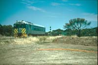 'cd_p0110107 - 26<sup>th</sup> December 1990 - North Adelaide Bluebird 251 on Silver City Ltd'