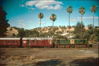 'cd_p0110173 - 26<sup>th</sup> January 1991 - Angaston loco 843 + Train Tour Promotions cars'