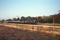 'cd_p0110376 - 8<sup>th</sup> November 1991 - North Adelaide night train - loco 520 + <em>Finniss</em> + <em>Inman</em> + <em>Coliban</em> + <em>Bowmans</em> + <em>Lowanna</em> - South Coast Explorer'