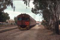 'cd_p0110685 - 2<sup>nd</sup> August 1992 - Gawler - Red Hen 309'