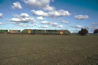 21<sup>st</sup> August 1992 Nuriootpa - locos 963 + 934 on stone train