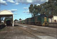 'cd_p0110705 - 21<sup>st</sup> August 1992 - Nuriootpa - locos 963 + 934 on stone train'