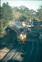 'cd_p0111360 - 3<sup>rd</sup> June 1995 - Belair - CLP 12 Indian Pacific'