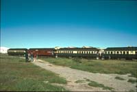 'cd_p0111394 - 13<sup>th</sup> August 1995 - Port Dock - SteamRanger Centenary + baggage cars'
