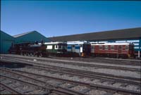 24.11.1995 Port Dock - Red Hen 321 + Bluebird 257 + Brill 41 + F255