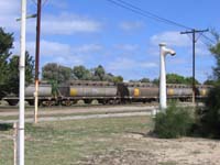 6<sup>th</sup> March 2006,Port Lincoln  HCN36 (ex NHB 1592) + HAN41 + HCN