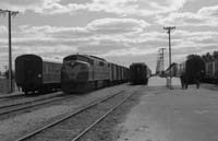   25.8.1976 - Marree - break of gauge  GM46