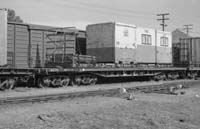 28.8.1976 - Alice Springs - NQ1775 with TNT containers TC101, 686 and 642