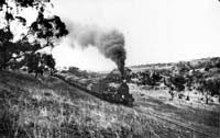 NM23 and banker on wheat train approximately 2 miles from Quorn  early 1930s