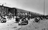 A troop train on Port Augusta Wharf.