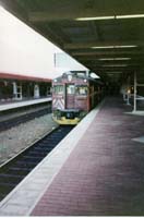 6.5.1996 365 +  432 at Adelaide