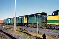 'pf_1363 - 18.2.1998 - GM47 + 703 + CLP17 at Port Flat                '