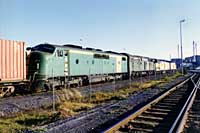 18.2.1998 GM47 + 703 + CLP17 + CLP12 at Port Flat