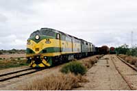 25.6.1998 CLP16 + GM43 + GM46 on empty coal train at Stirling North