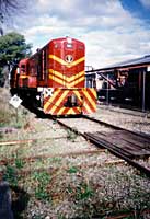 19.5.1996 507 at Mount Barker