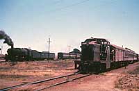 'wc-225 - 1.1961 - Port Pirie Junction - DE90 shunter + Macedon in tow'