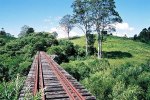 Dorrigo Bridge