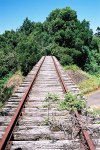 Dorrigo Bridge