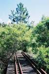 Dorrigo Bridge