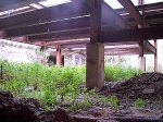 Redfern's Disused platforms